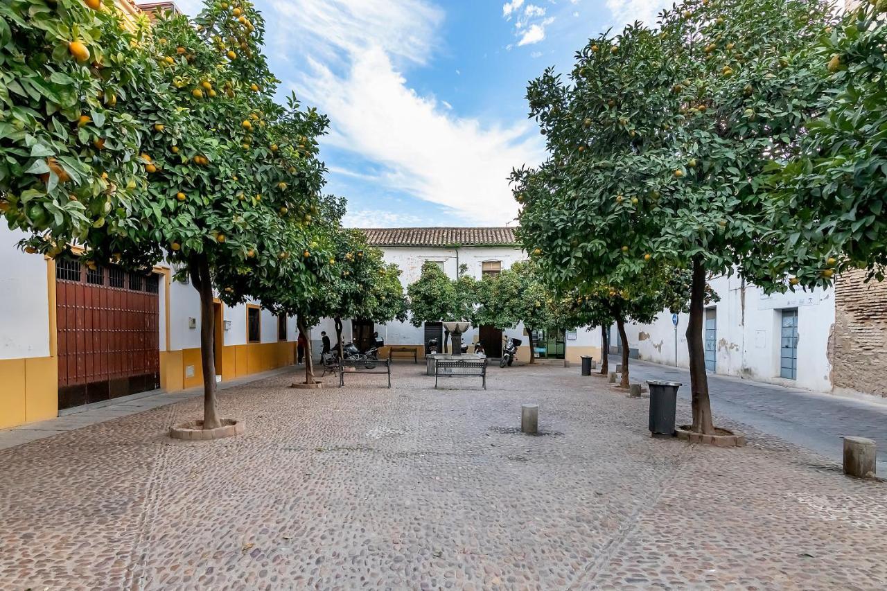 Appartamento Bhost - Regina Cordova Esterno foto